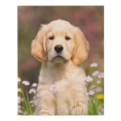 Cute Golden Retriever Dog Puppy Face Animal Photo Faux Canvas Print