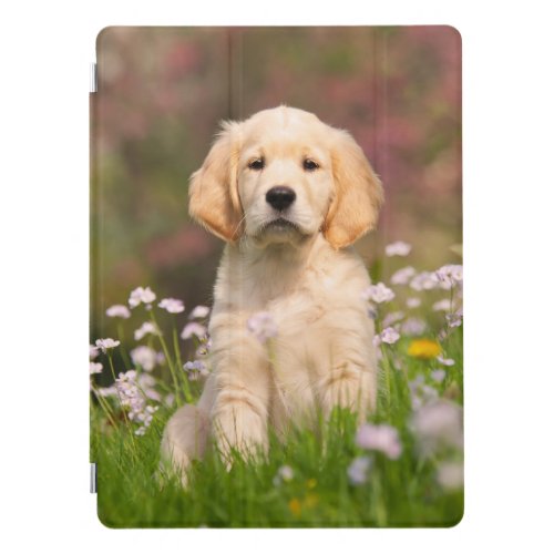 Cute Golden Retriever Dog Puppy Face Animal Photo iPad Pro Cover