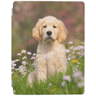 Furry Ipad Cases Covers Zazzle