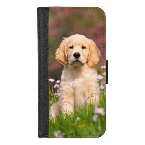 Cute Golden Retriever Dog Puppy Face Animal Photo iPhone 87 Wallet Case