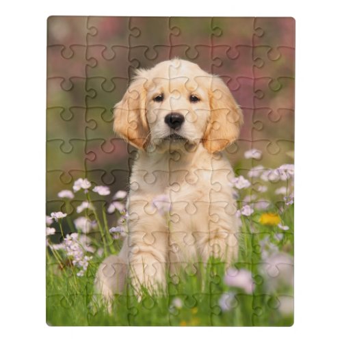 Cute Golden Retriever Dog Puppy Face Animal Photo Jigsaw Puzzle