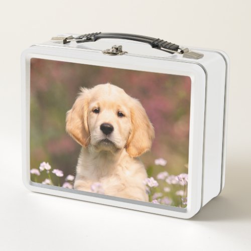 Cute Golden Retriever Dog Puppy Face Animal Photo Metal Lunch Box