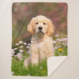 Cute Golden Retriever Dog Puppy Face Animal Photo Sherpa Blanket