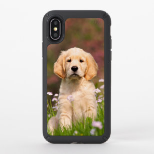 Golden Retriever Iphone Cases Covers Zazzle