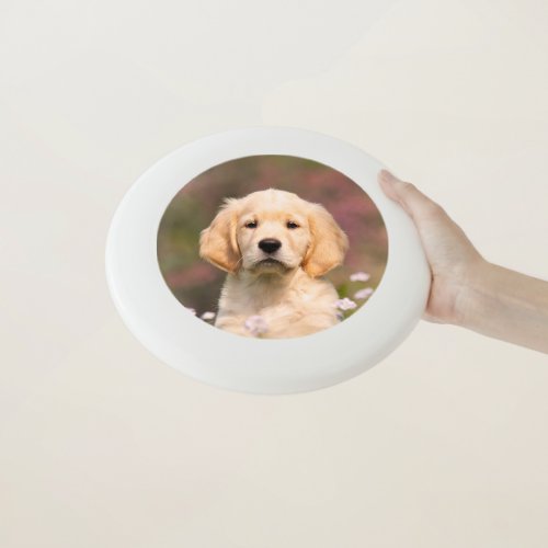 Cute Golden Retriever Dog Puppy Face Animal Photo Wham_O Frisbee