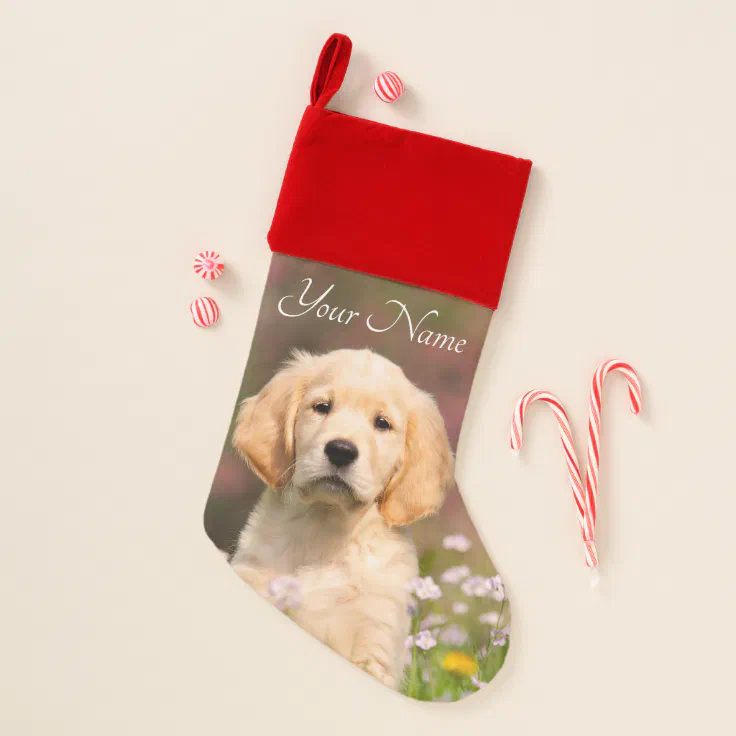 Cute Golden Retriever Dog Puppy Face Photo Name Christmas Stocking