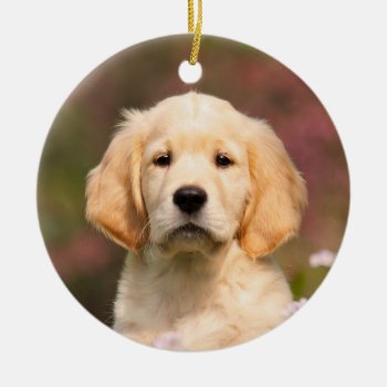 Cute Golden Retriever Dog Puppy Hang Decor Ceramic Ornament by Kathom_Photo at Zazzle