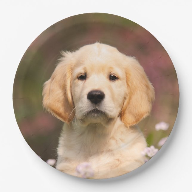 Cute Golden Retriever Dog Puppy, Happy Party Paper Plates (Front)