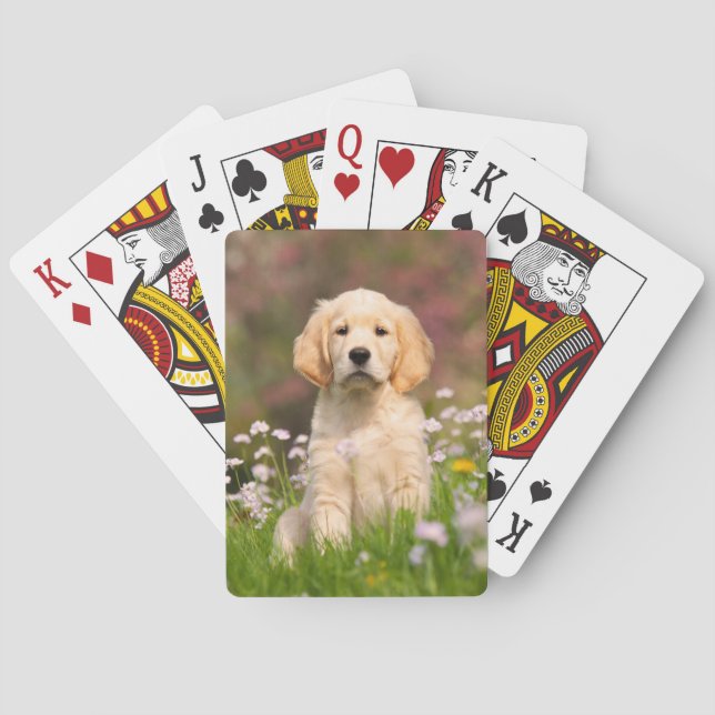 Cute Golden Retriever Dog Puppy Photo Portrait - Poker Cards (Back)