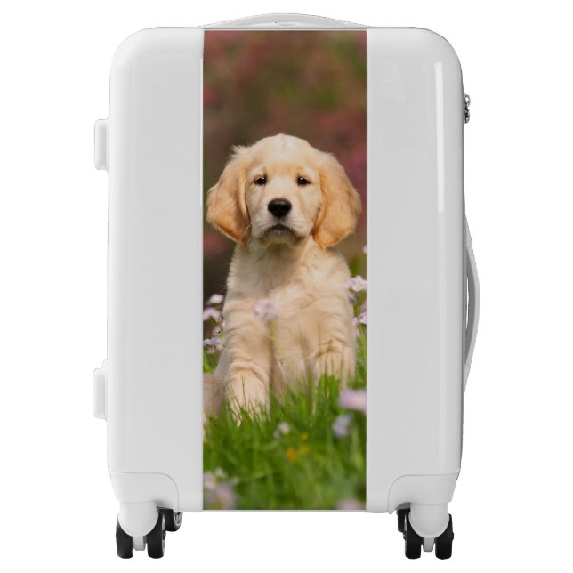 Cute Golden Retriever Dog Puppy Photo - Suitcase (Front)