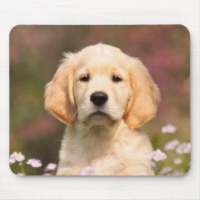 Cute Golden Retriever Dog Puppy Portrait, Mouse Pad (Front)
