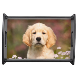 Cute Golden Retriever Dog Puppy Portrait Pet Photo Serving Tray
