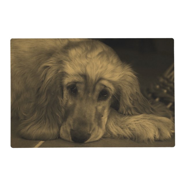 Cute Golden Retriever Dog Resting on his Paws Placemat (Front)