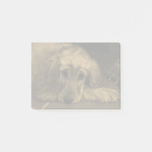 Cute Golden Retriever Dog Resting Peacefully Post_it Notes