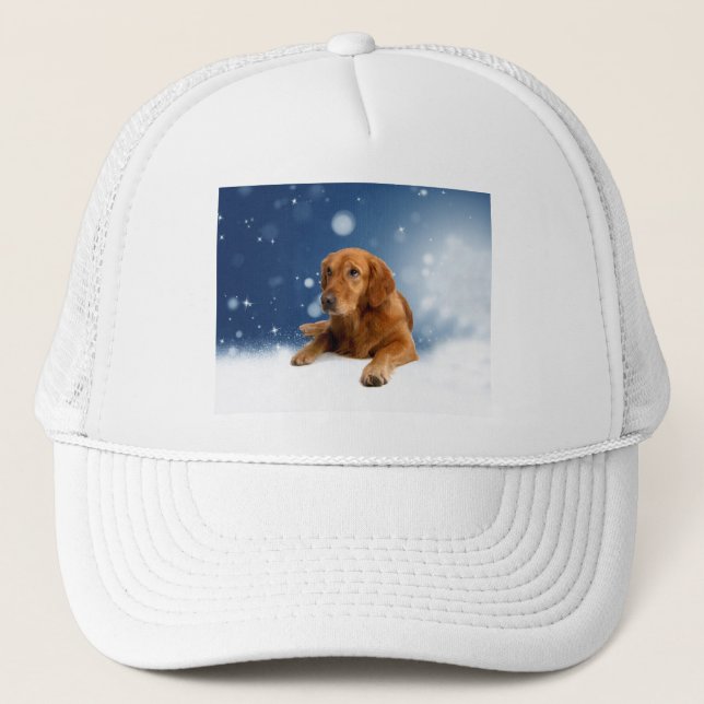 Cute Golden Retriever Dog Sitting in Snow Stars (Front)