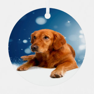 Cute Golden Retriever Dog Sitting in Snow Stars Christmas Ornament
