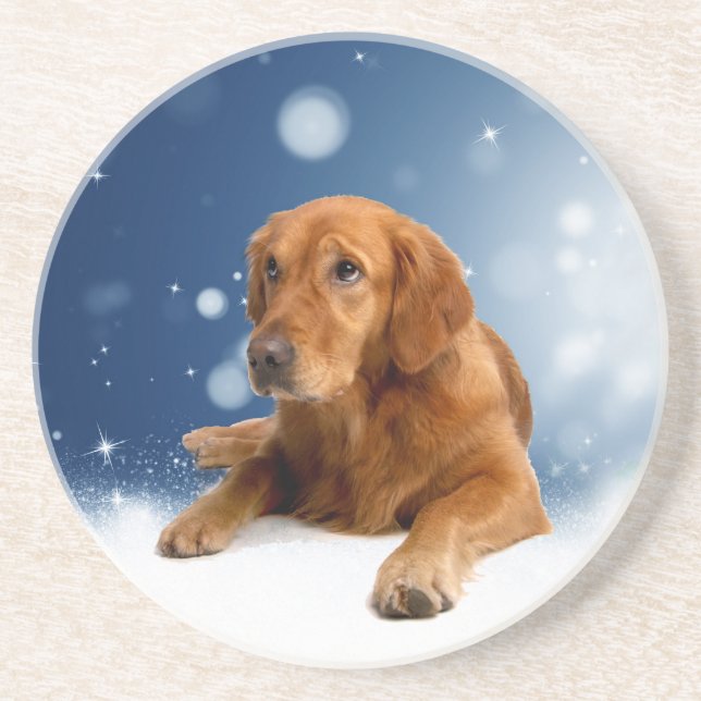 Cute Golden Retriever Dog Sitting in Snow Stars Drink Coaster (Front)