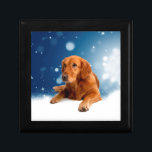 Cute Golden Retriever Dog Sitting in Snow Stars Keepsake Box<br><div class="desc">A cute Golden Retriever Dog sitting in snow with blue sky and stars.</div>