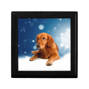 Cute Golden Retriever Dog Sitting in Snow Stars Keepsake Box