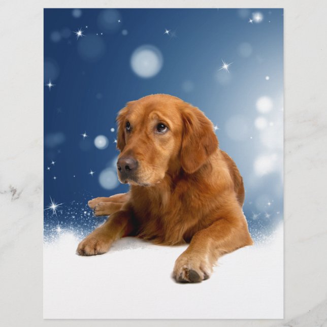 Cute Golden Retriever Dog Sitting in Snow Stars Letterhead (Front)