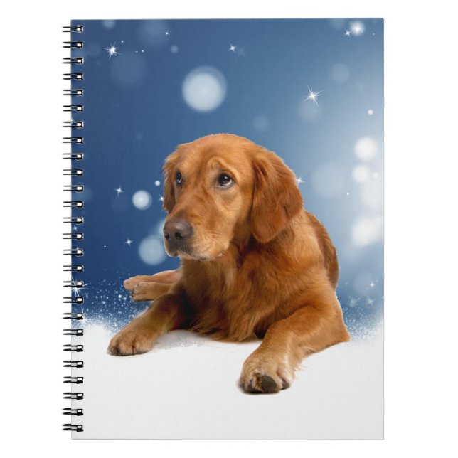 Cute Golden Retriever Dog Sitting in Snow Stars Notebook (Front)