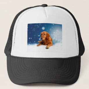 Cute Golden Retriever Dog Sitting in Snow Stars Trucker Hat