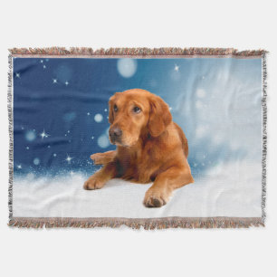 Cute Golden Retriever Dog Sitting Snow Stars Blue Throw Blanket