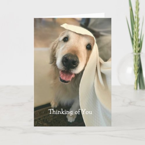 Cute Golden Retriever Dog Thinking of You Card