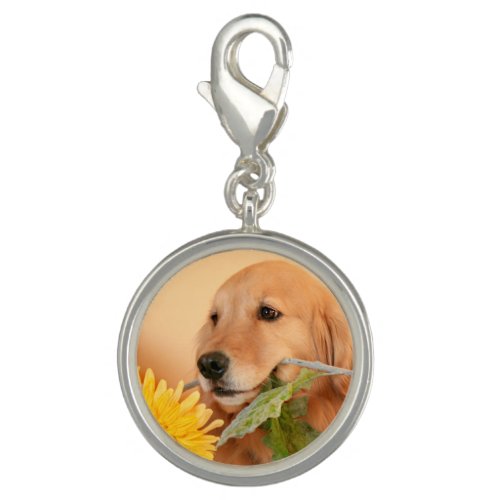 Cute Golden Retriever Dog With Yellow Flower Charm