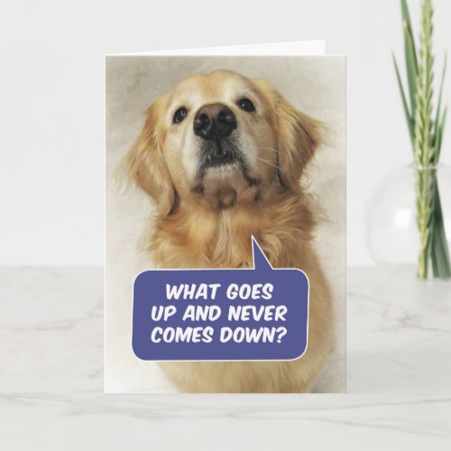 Cute Golden Retriever Funny Birthday Riddle Card