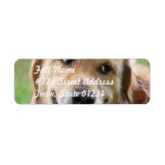 Cute Golden Retriever Mailing Labels