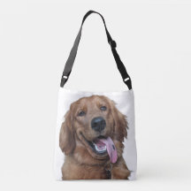 Cute Golden Retriever | Original Dog Photography
