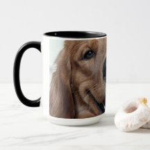 Cute Golden Retriever | Original Dog Photography