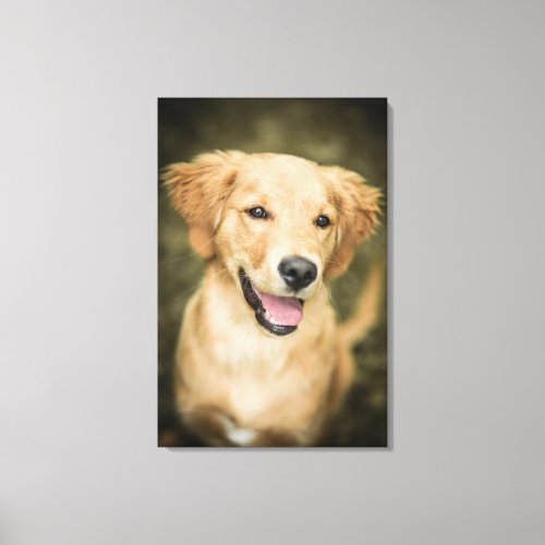 Cute Golden Retriever Puppy Canvas Print