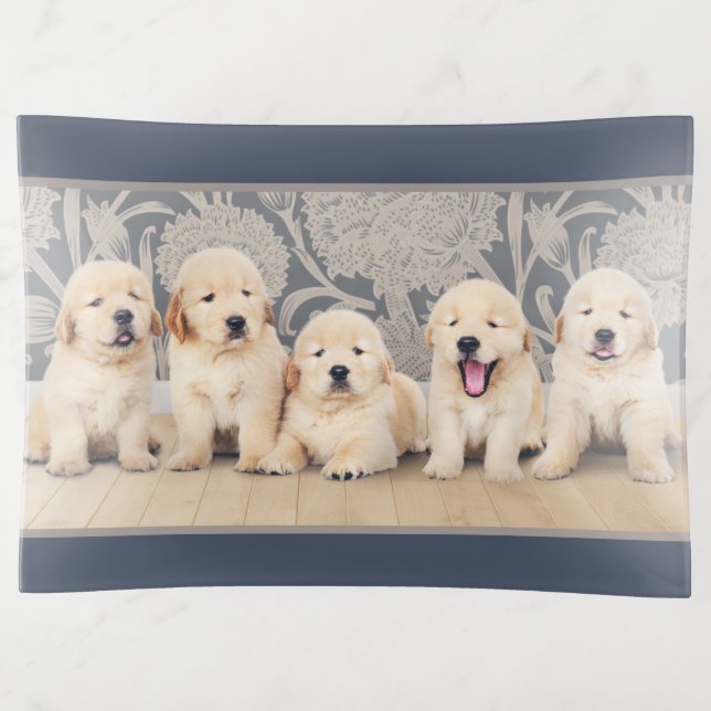 Cute Golden Retriever Puppy Dog Trinket Tray (Front)