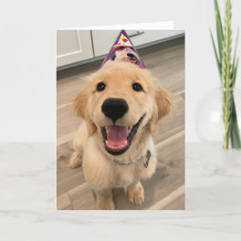 Cute Golden Retriever Puppy Dog with Birthday Hat Card