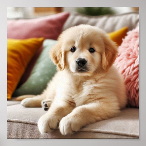 Cute Golden Retriever puppy Poster