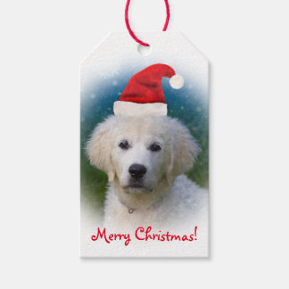 Cute Golden Retriever Puppy Wearing Santa Hat Gift Tags