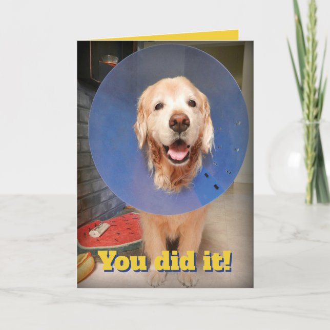 Cute Golden Retriever With Cone- Cone-gratulations Card (Front)