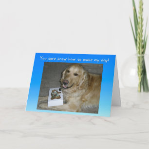 Cute Golden Retriever with Treats Thank You Card
