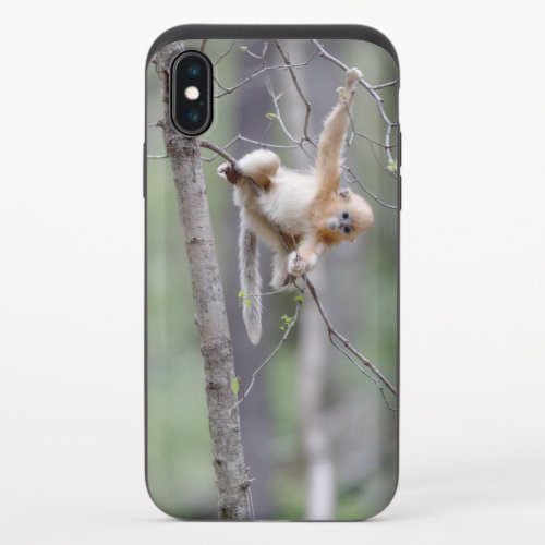 Cute Golden Snub_nosed Monkey on Tree Branches iPhone X Slider Case