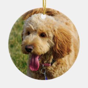 Cute Goldendoodle Dog Ceramic Ornament