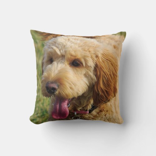 Cute Goldendoodle Dog Throw Pillow