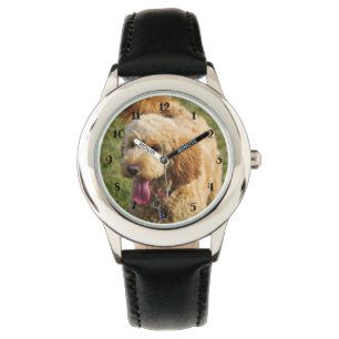 Cute Goldendoodle Dog Watch