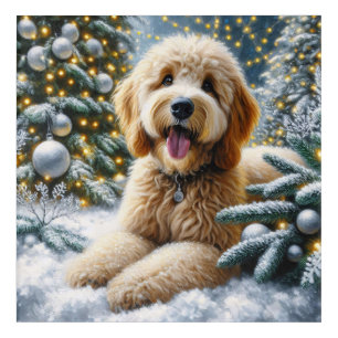 Cute Goldendoodle Dog Winter Wonderland Acrylic Print