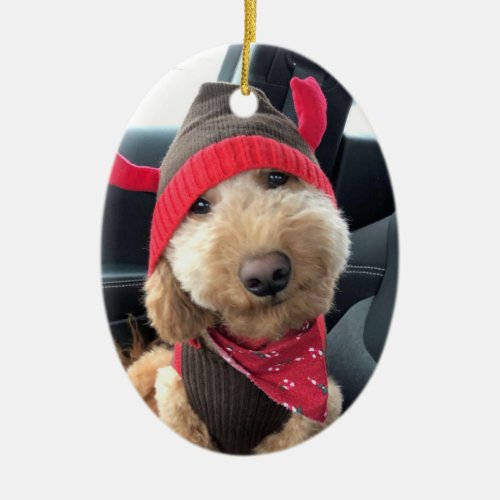 Cute Goldendoodle in His Christmas Outfit Ceramic Ornament