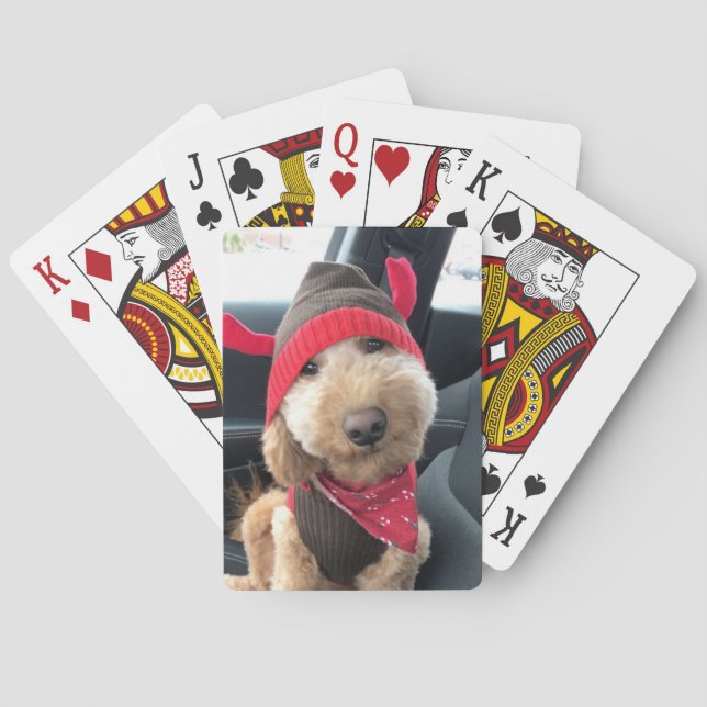 Cute Goldendoodle in His Christmas Outfit Poker Cards (Back)