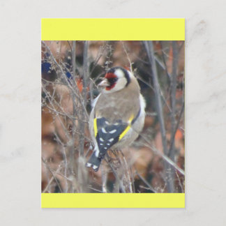 Cute Goldfinch DIY Postcard
