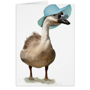 Cute Goose with Summer Hat & Sunglasses Cards