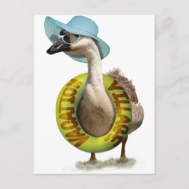 Cute Goose with Summer Hat & Sunglasses Postcard (Front)